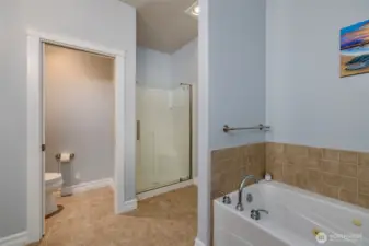 Shower or bath, this roomy ensuite has both.