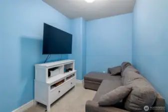 Flex Rec Room for gaming, movies, or storage. You decide.
