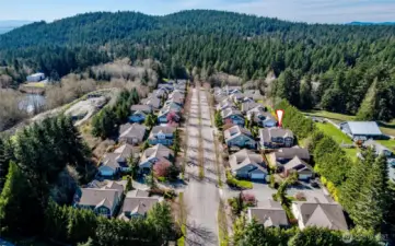 Soon to bloom cherry blossom trees.