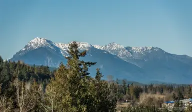 Olympic Mt VIEWS!