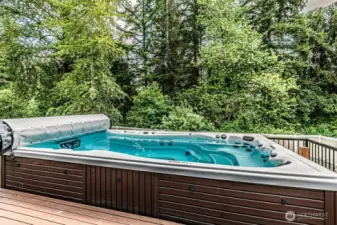 Swim Spa with new cover