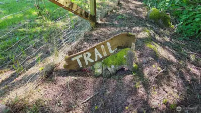 Nature trails thruout the forested area