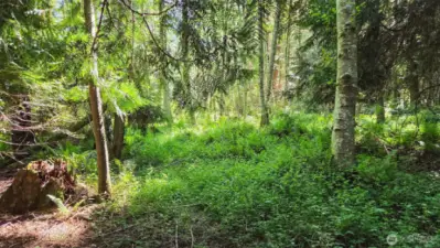 Nature trail