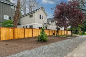 Fenced yard