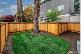 Nice yard