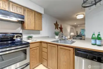 Stainless appliances
