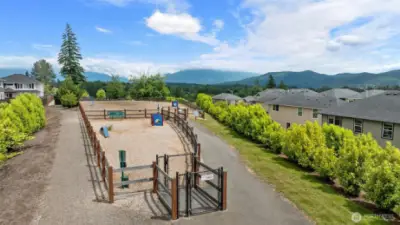 Dog Park