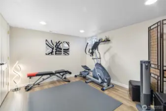 Lower level extra room.