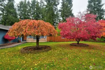 Enjoy the fall colors