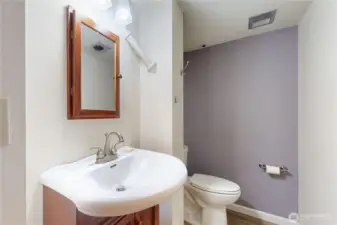 Basement Bathroom