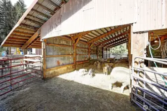 Covered area for sheep