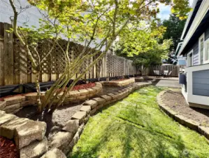 Fully fenced back yard with new Sod