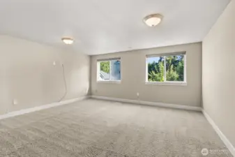 Large, upstairs bonus room!