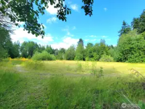 Beautiful, Level, Lightly Treed acreage