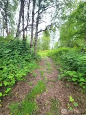 One of the many trails