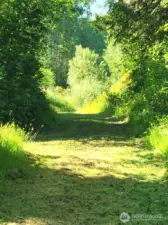 Access road - has shared easement with neighbor