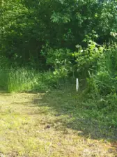 Entry property line marker