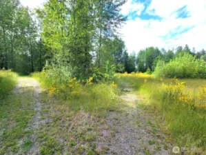 Multiple trails running throughout property