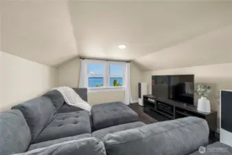 A versatile space for lounging, play, hobbies, or media.