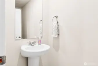Lower Level Bathroom