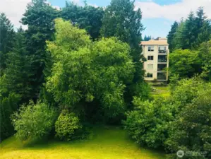 Overlooking serene greenery