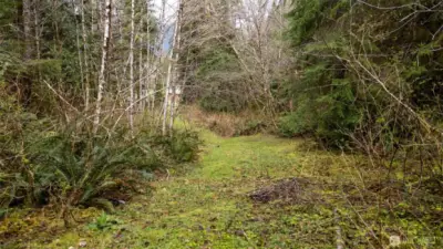 Path from home to Waterfall
