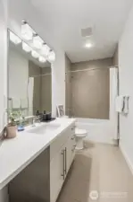 Lower-Level Bathroom