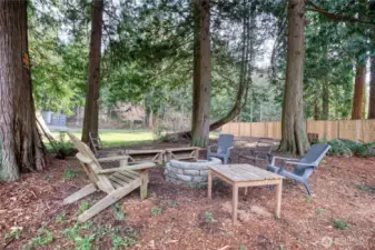 Fire Pit
