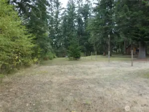 part of front yard