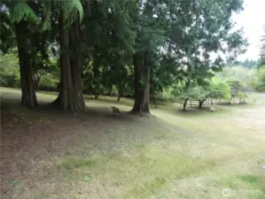 Slight slope but so beautiful