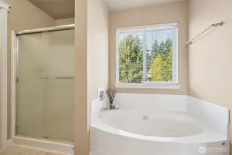 Primary Bathroom Soaker Tub