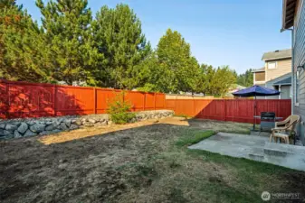 Backyard View