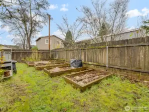 Raised bed in the backyard.
