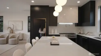 Secret Pantry Seamlessly  Blending w/the Sophicaticated Chef's Kitchen