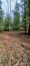 Plenty of level areas