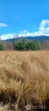 Well established field