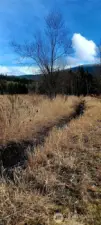 Well established field with drainage ditch