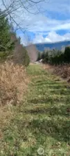 Access easement