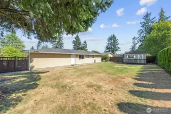 Large fenced yard