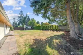 Large fenced backyard