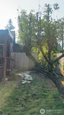 side of house