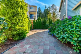 mature plants make it feel like a garden oasis