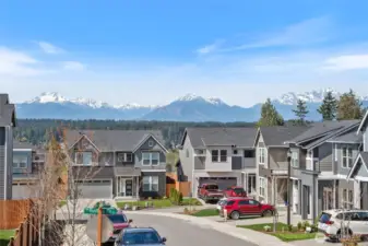 180° Olympic Mountain view.