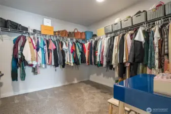 Walk in closet the size of a small bedroom.  Huge.