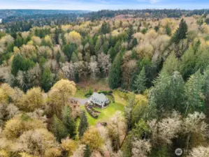 Incredible 3.9 acres of privacy!