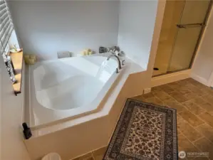 Ensuite Luxurious Soaking Tub and Shower areas.