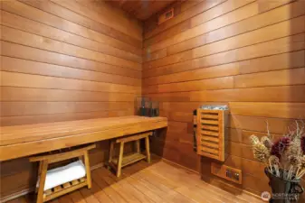 Lower Primary Suite Sauna