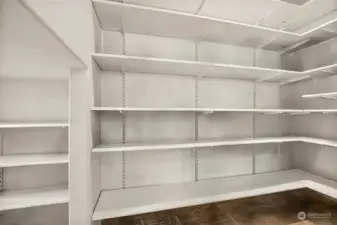 HUGE pantry w/ extra storage to left