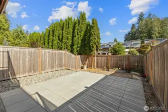 Back yard
