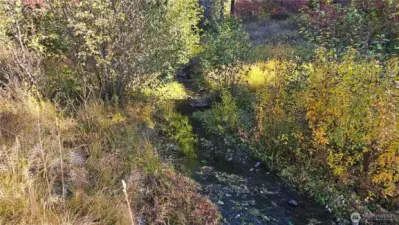 Williams Creek runs year round